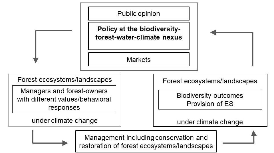 Socio-ecological framework of forest biodiversity conservation and restoration.